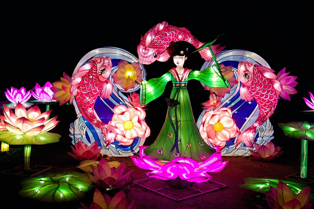 china light licht festival lichtshow show festiviteit glow evenement event chinees chinese verlichting draak dragon lichtfestival zoo